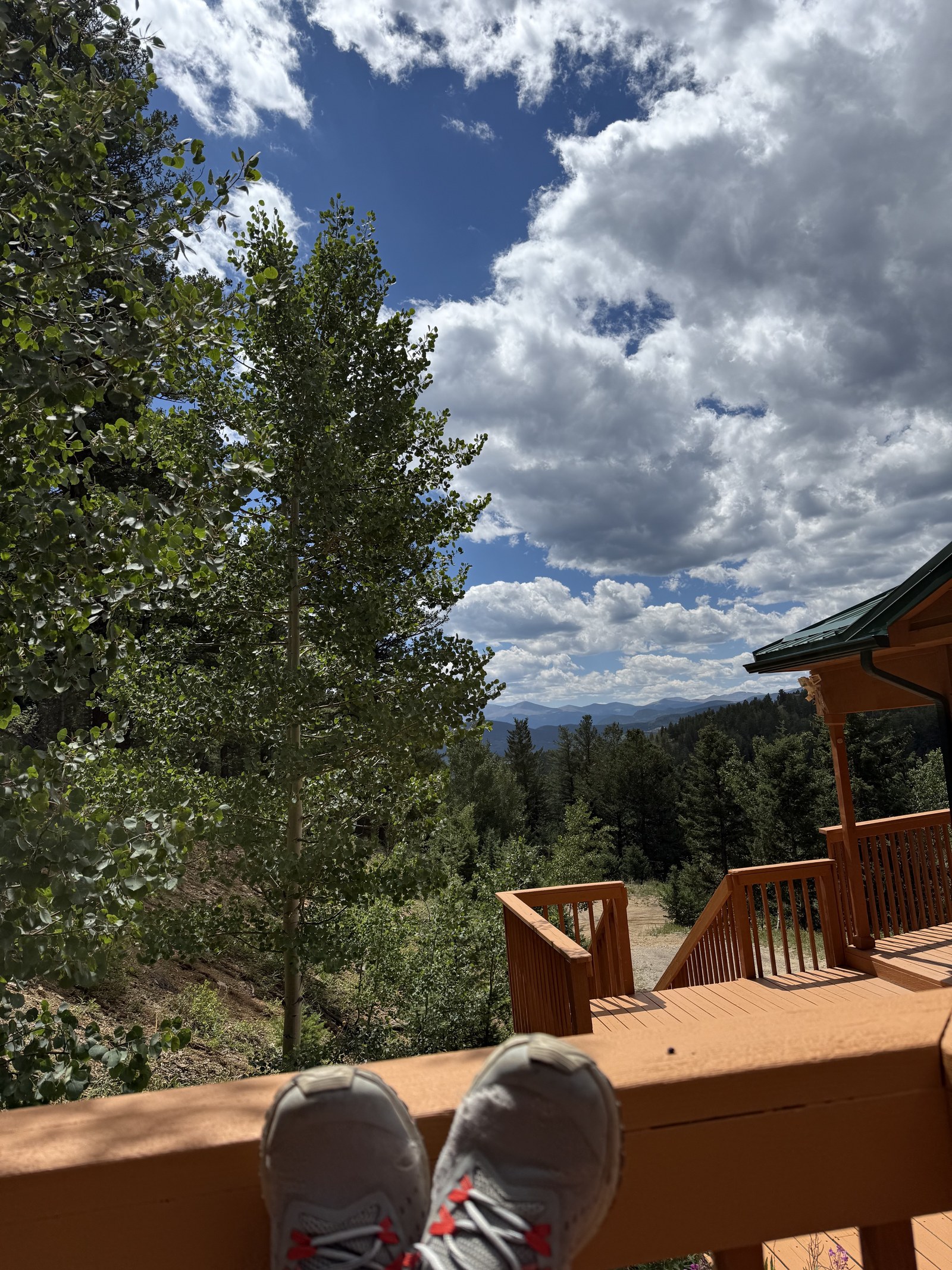 Deck and trees
